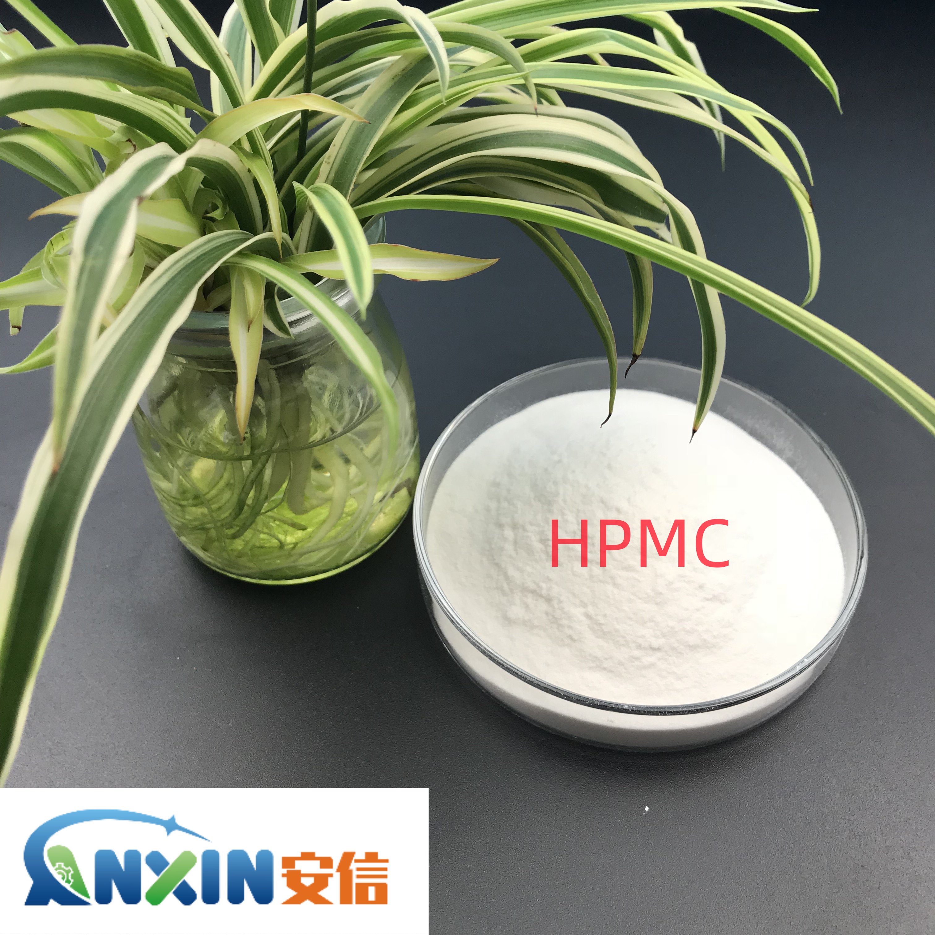 Hydroxypropyl methylcellulose (HPMC) (1)